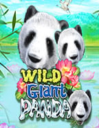 วิธีเล่น epicwin slot สำหรับมือใหม่ง่ายนิดเดียว